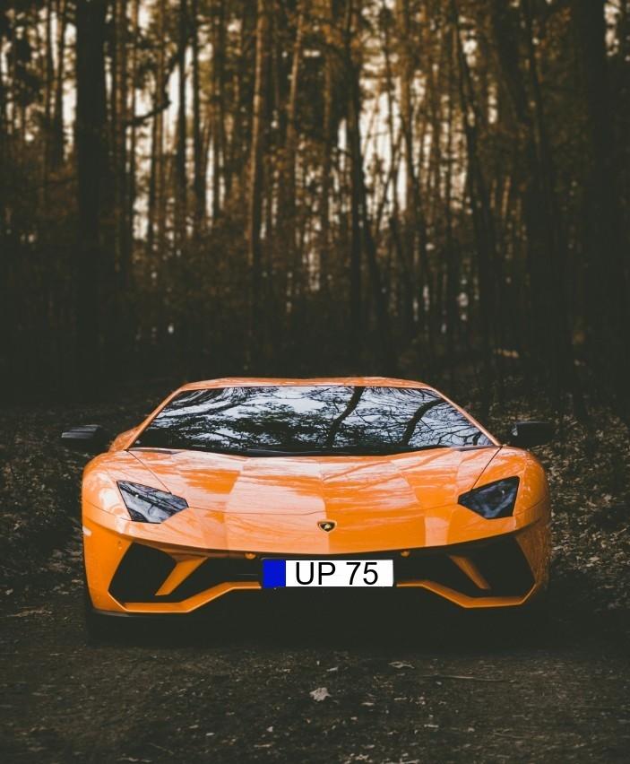 About Etawah RTO Consultant